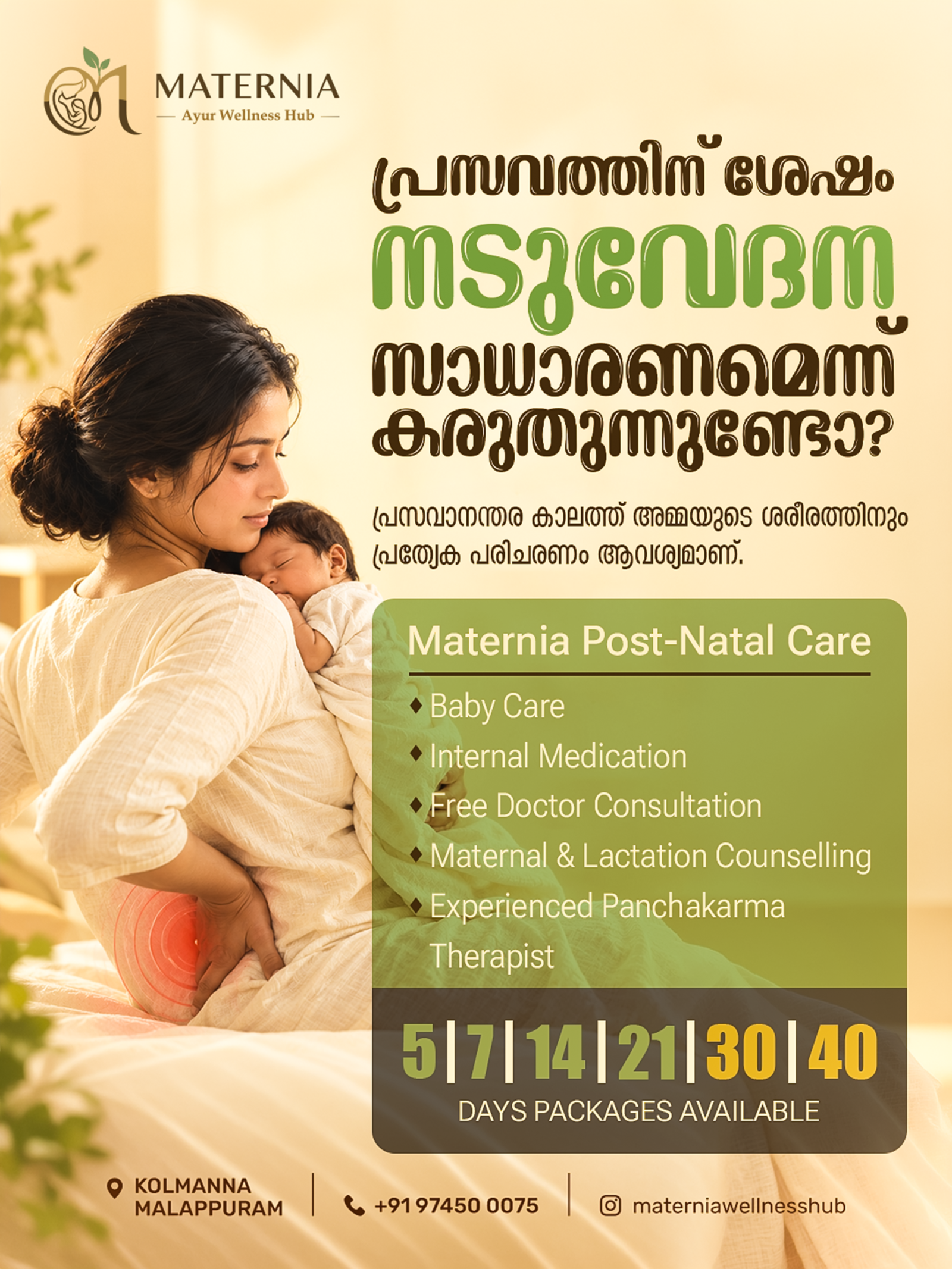Maternia Wellness Hub – Digital Marketing in Malappuram gallery image